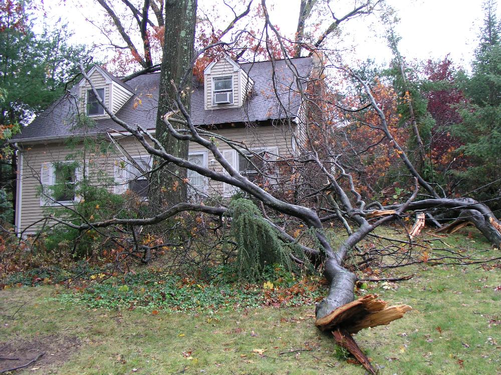 Disaster Operations 7